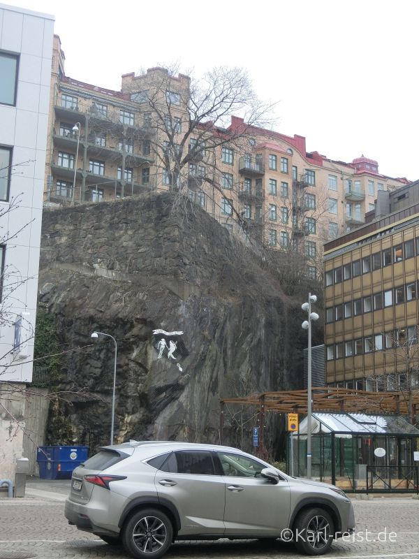 Baum auf Berg Göteborg