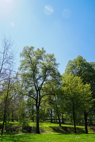 Der Giglberg in Biberach an der Riß.