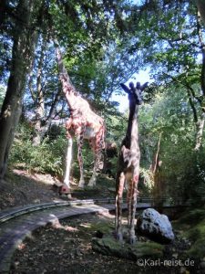Hansapark Jeep Safari Giraffen