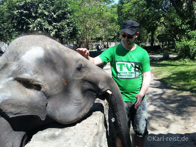 Elefant streicheln Yangon Zoo