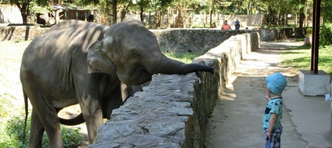 Kinderzeit im Zoo und Barbecue in Chinatown