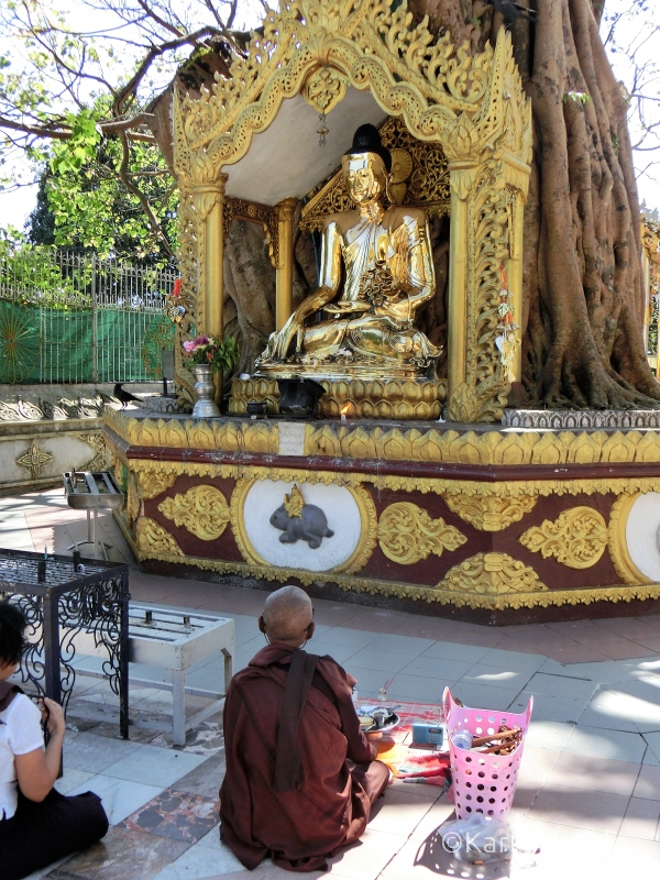 Nonne beim Gebet in der Shwedagon Pagode.