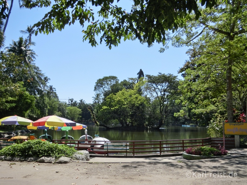 See im Yangon Zoo Myanmar