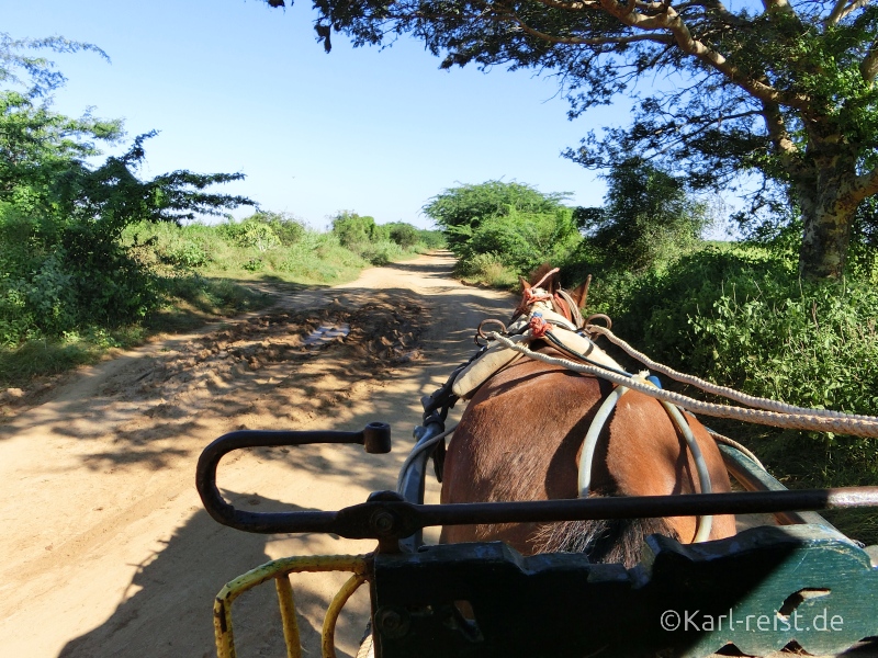 Pferdekutsche in Bagan