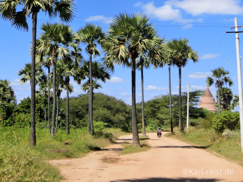 Sandweg mit Palmen und Tempel im Hintergrund