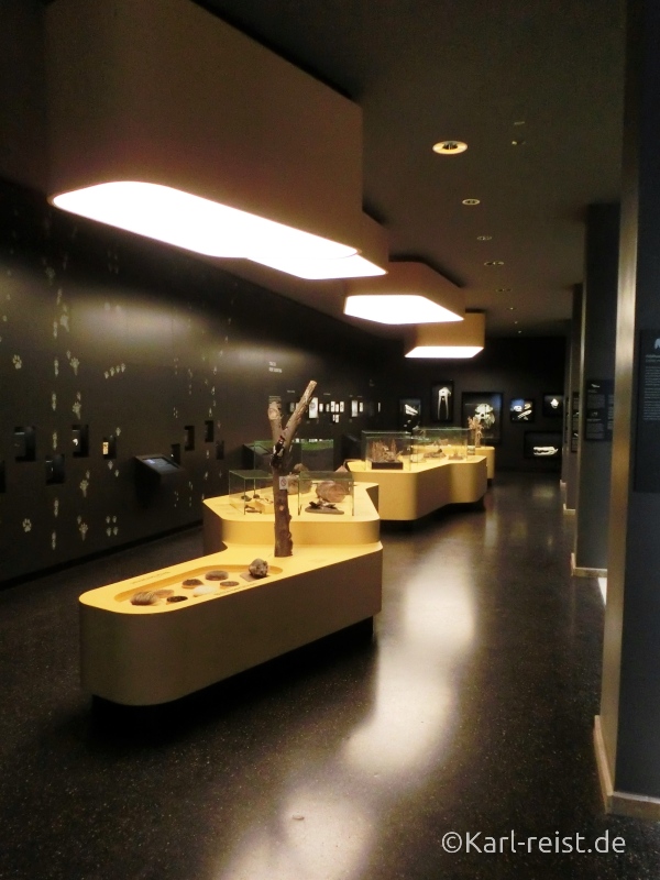 Entdeckersaal im Naturhistorischen Museum Braunschweig