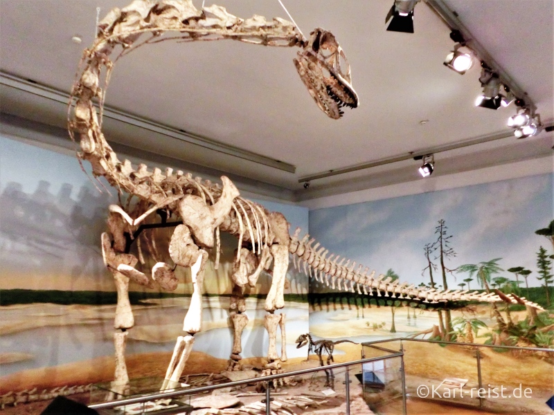 Dinosaurier im Naturhistorischen Museum Braunschweig mit 