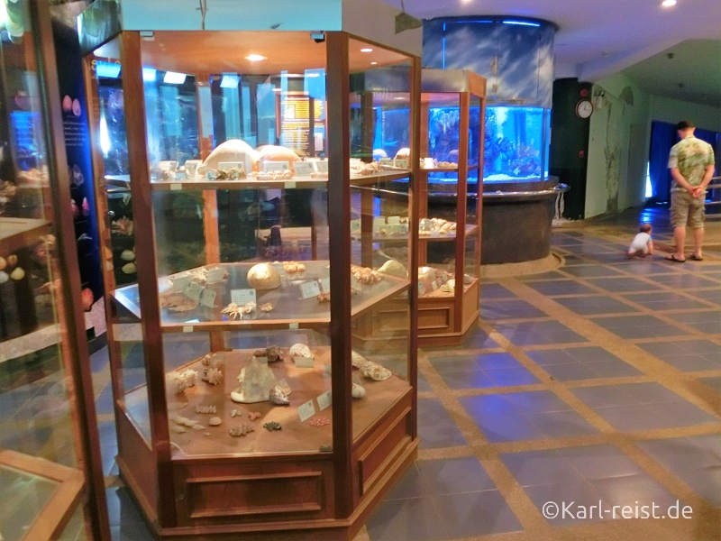 Vitrinen im Rayong Aquarium Ban Phe