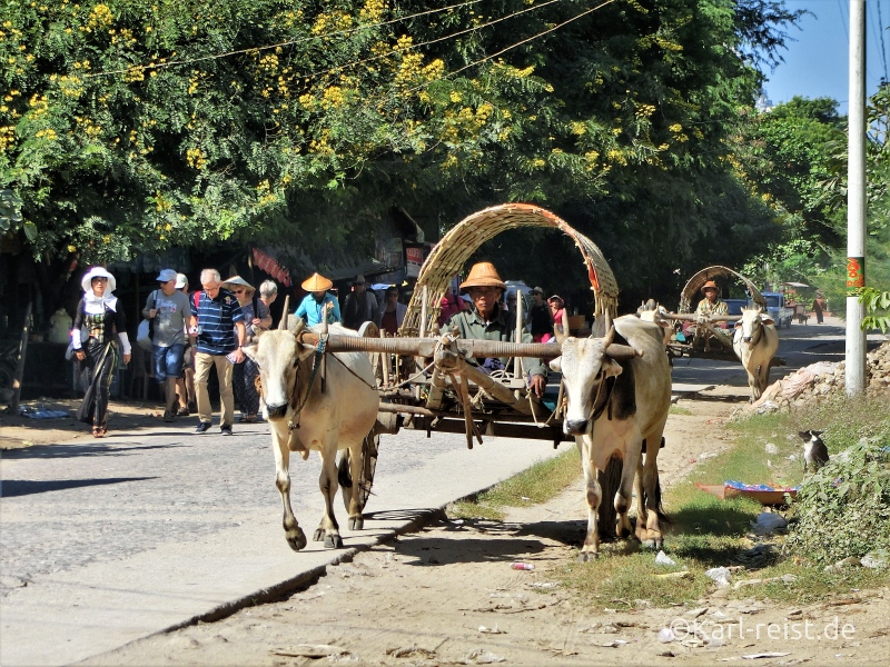 Ochsenkarren in Mingun