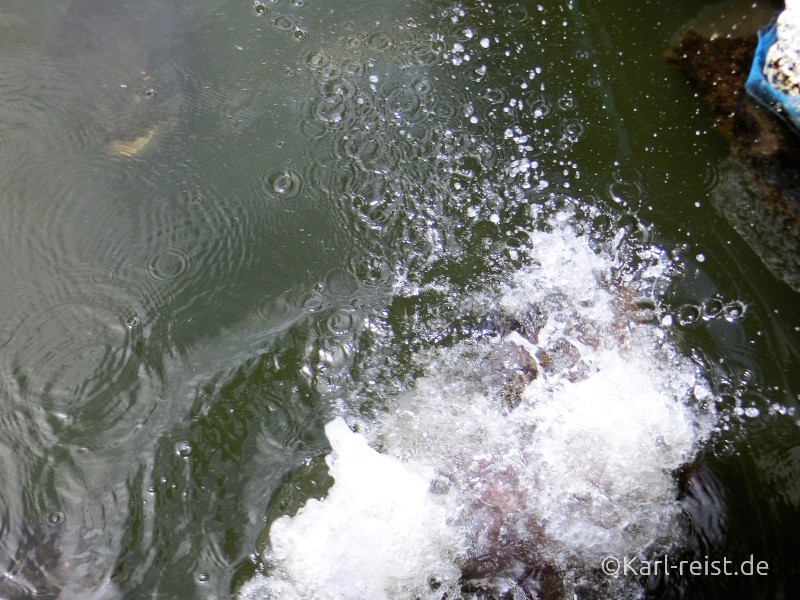 Oasis Sea World Chanthaburi