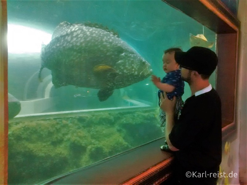 Khun Krabaen Aquarium Chanthaburi