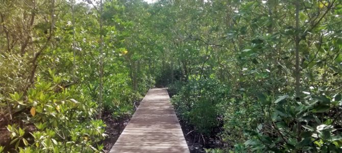 Strände, Mangroven und Delfine: Ausflugsziele rund um Chanthaburi Strände, Mangroven und Delfine: Ausflugsziele rund um Chanthaburi