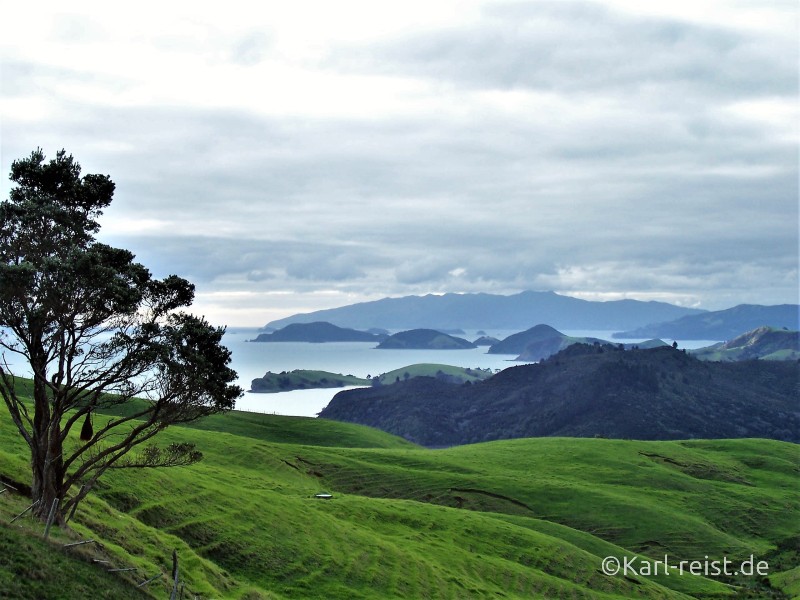 Coromandel Neuseeland