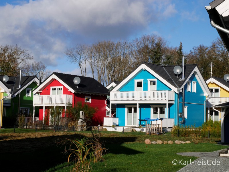Ferienhaus Süssauer Strand Seerose Seehund