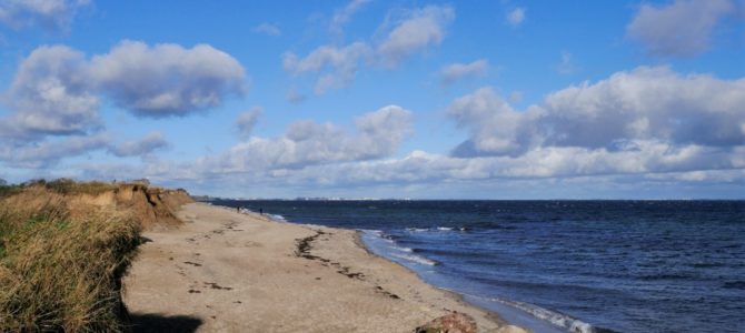 Ferienhäuser Süssauer Strand: Totale Entspannung im Kurzurlaub an der Ostsee