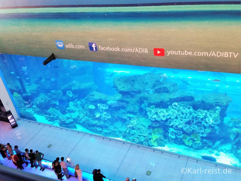Dubai Aquarium Mall