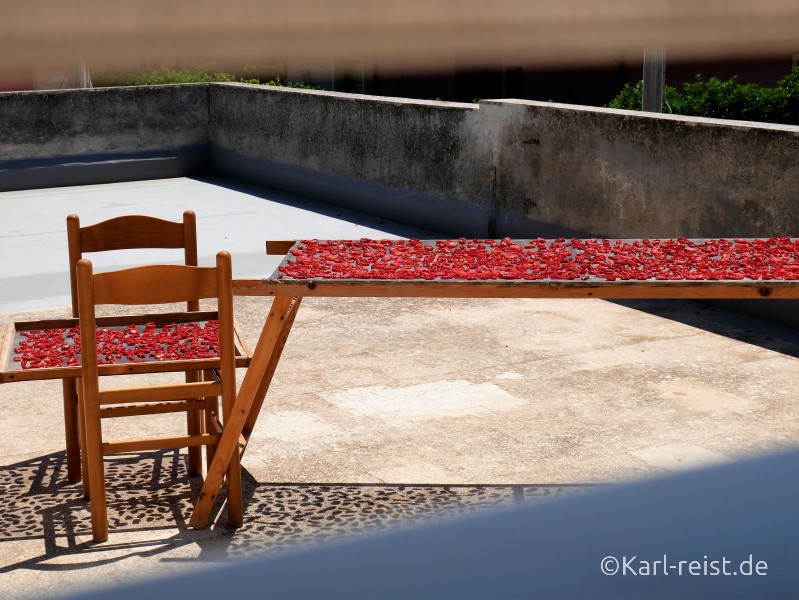 Tomaten trocken in Italien Sizilien
