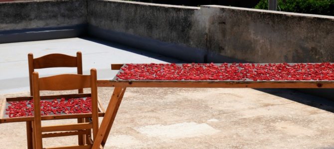 Start unserer Sizilien Rundreise: Schöne Tage im Süd-Osten in der Region Syrakus Start unserer Sizilien Rundreise: Schöne Tage im Süd-Osten in der Region Syrakus