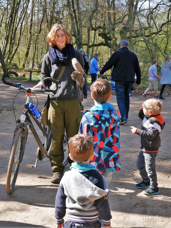Wildpark Eekholt Greifvogel