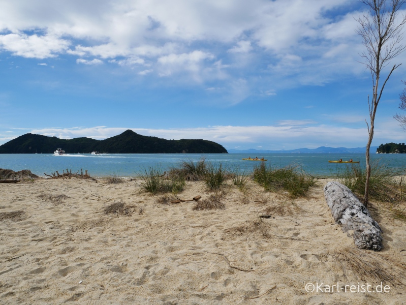 Neuseeland Südinsel Abel Tasman Strand
