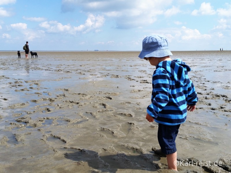 Watt wandern Niedersachsen