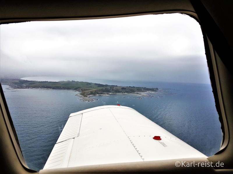 Kaikoura Rundflug Wal Walbeobachtung Whale Watching Neuseeland Südinsel