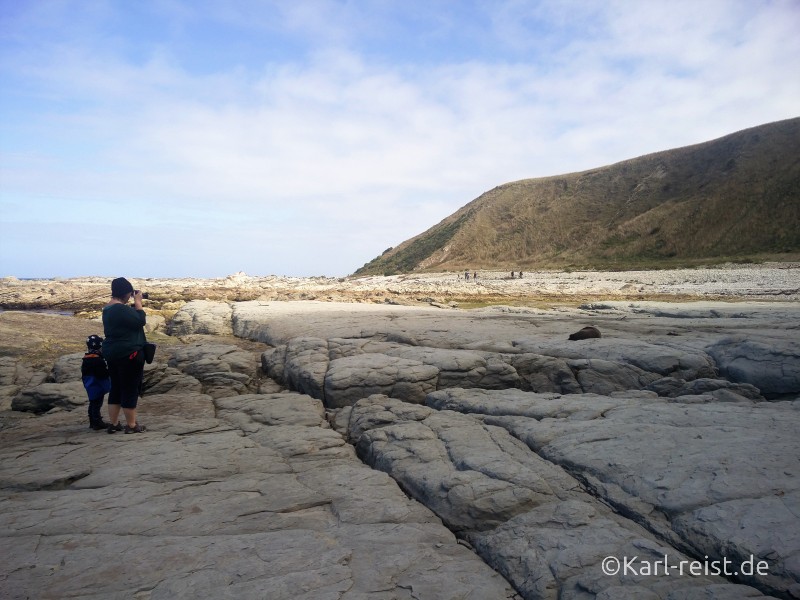 Peninsula Walkway Kaikoura Robbe