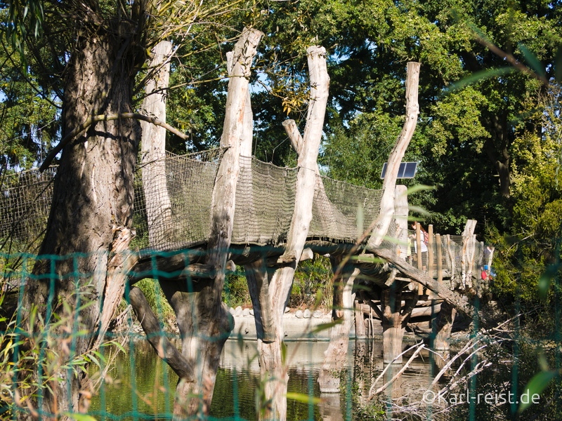 Tierpark Essehof Lehre Brücke