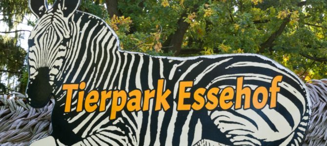 Tierische Interaktionen im Tierpark Essehof in Lehre Tierische Interaktionen im Tierpark Essehof in Lehre
