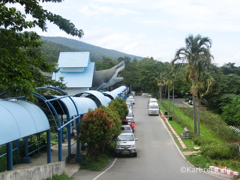 Aquarium Zoo Chiang Mai