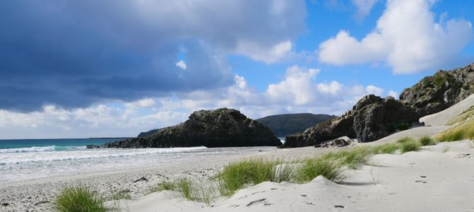 Neuseeland schönster Strand? Ganz klar in Aramoana gegenüber der Otago Peninsula