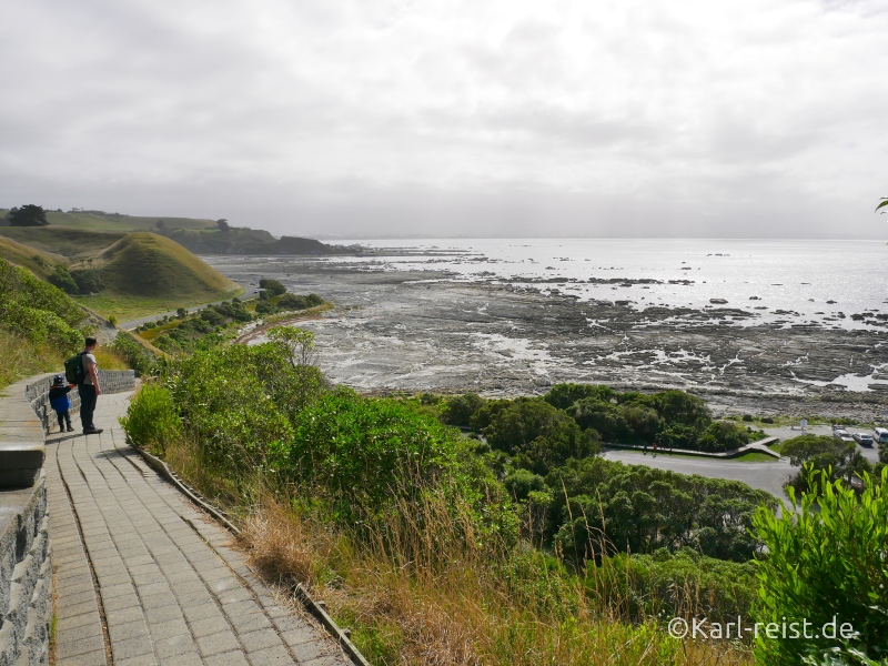Bild Rundreise Neuseeland Südinsel 3 Wochen Kaikoura Peninsula Walkway