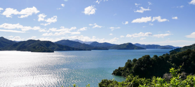 Fototour: Wunderschöne Landschaft in den Marlborough Sounds Neuseeland