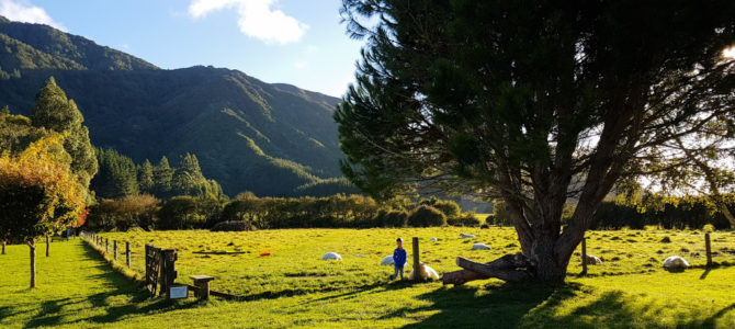Glühwürmchen und Camping in Linkwater auf Smiths Farm Holiday Park in den Marlborough Sounds Glühwürmchen und Camping in Linkwater auf Smiths Farm Holiday Park in den Marlborough Sounds