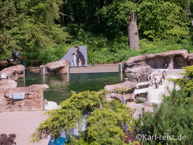 Rostock Zoo Pinguingehege