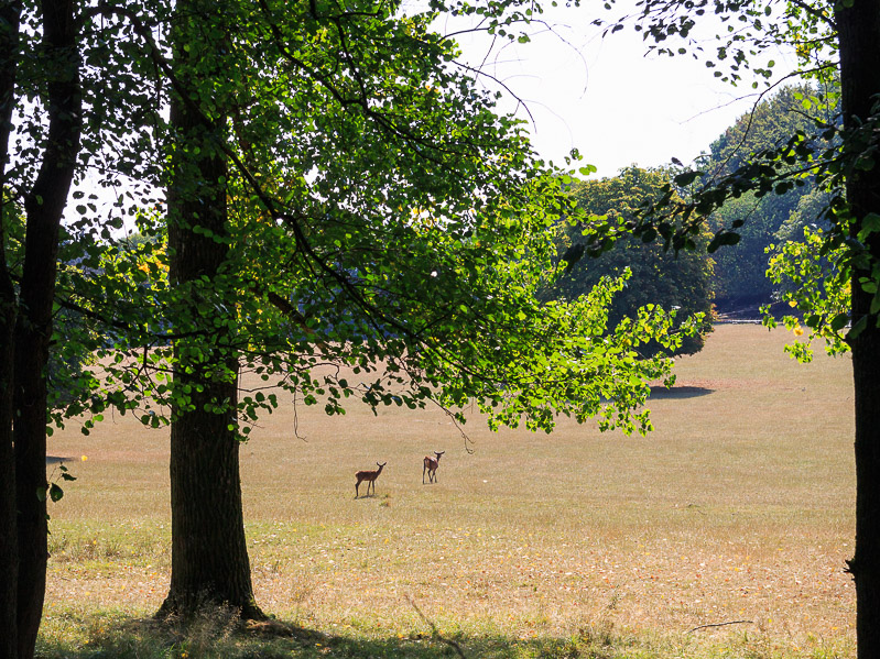 Single mit kind sauerland