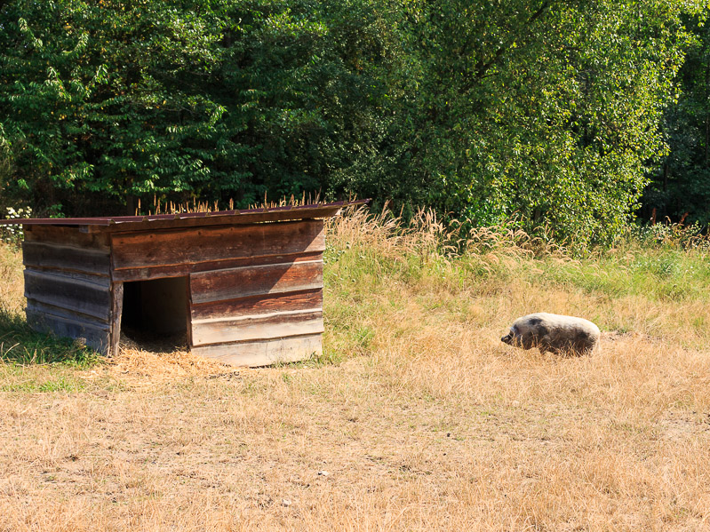 Single mit kind sauerland